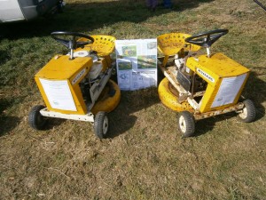 Mowett Mustangs on Show