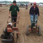 Profile picture of Shaggy