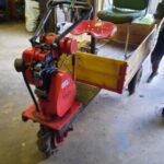 Profile picture of Daniel mancini